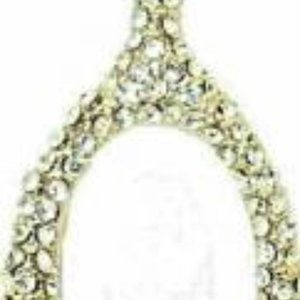 Pave Crystal Wish bone Necklace adjustable NWT